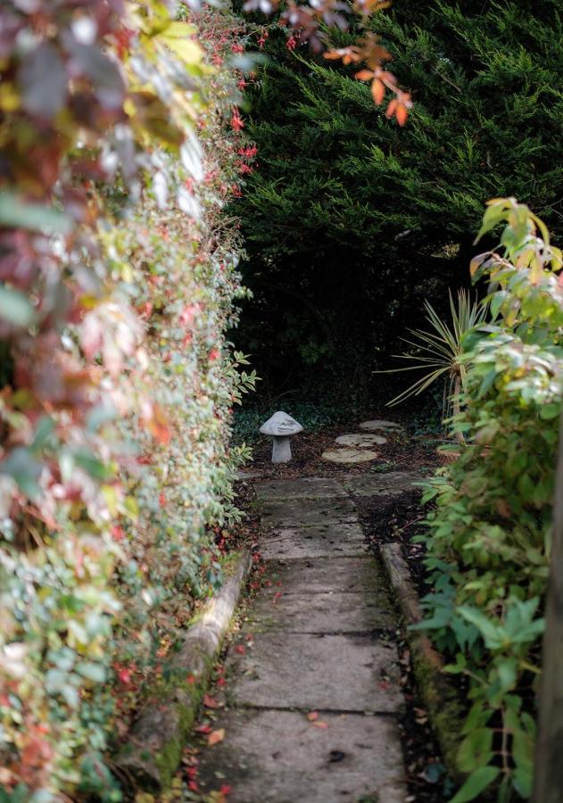 The Cottage @ Burkedale House Corofin  エクステリア 写真