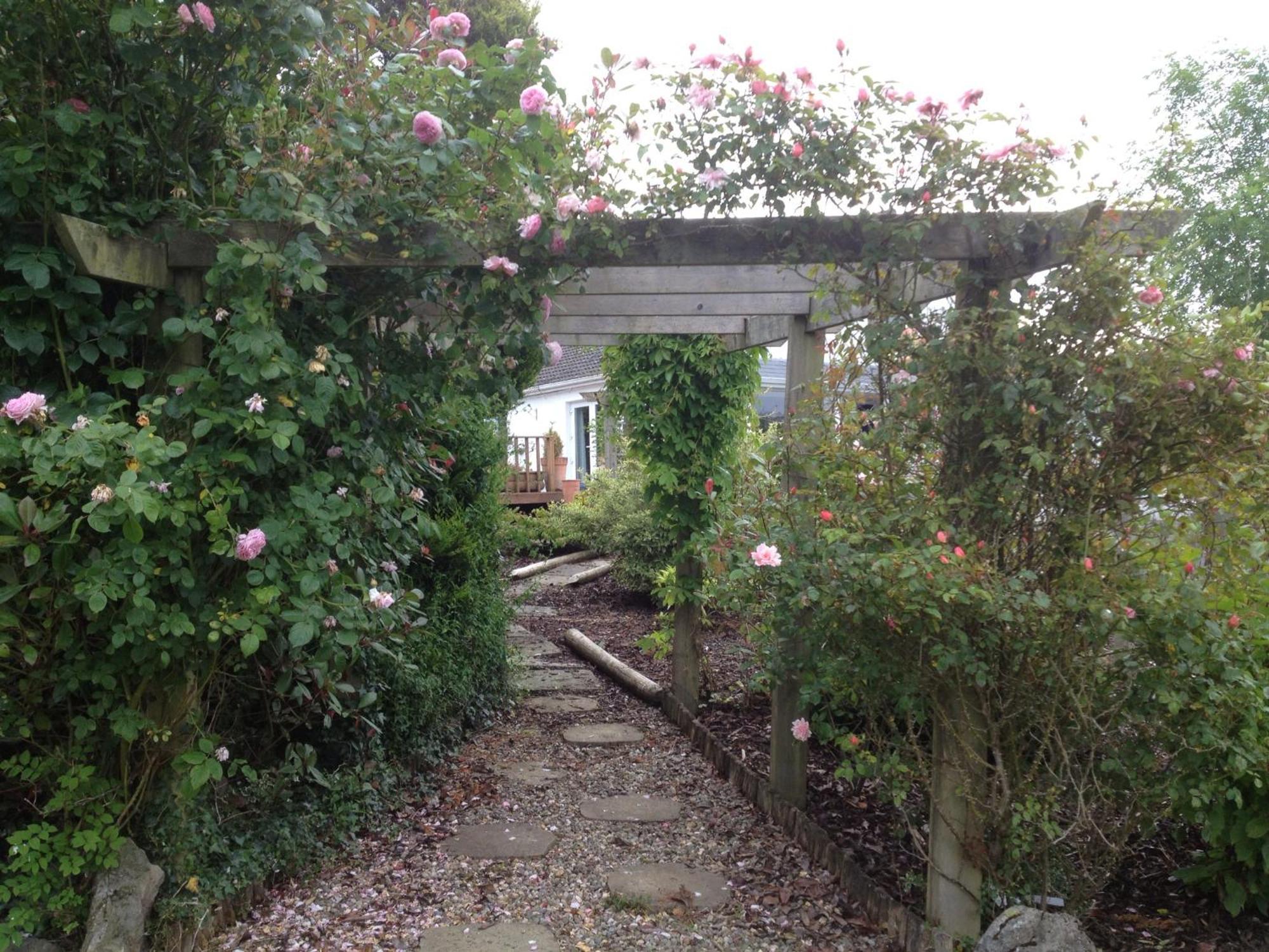 The Cottage @ Burkedale House Corofin  エクステリア 写真